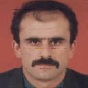 Mustafa TÜRKYILMAZ | Daimi İşçi
